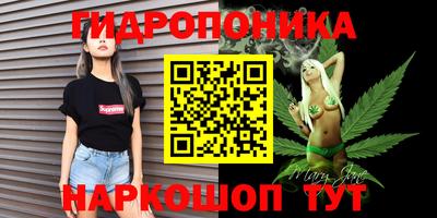 прущие крисы Кулебаки