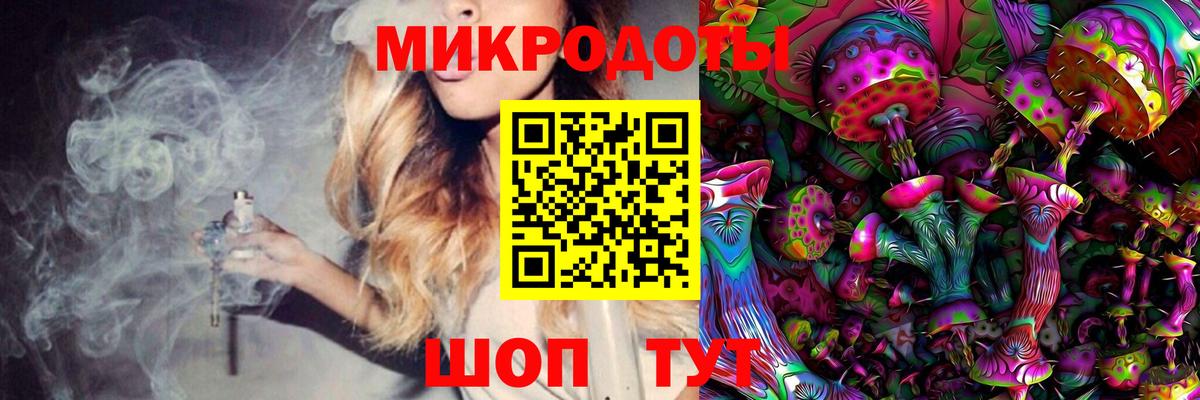 где можно купить наркотик  Вход с VPN  Галлюциногенные грибы Psilocybine cubensis  Кизилюрт  Галлюциногенные грибы Psilocybine cubensis 